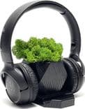 SKU: LPNA044147551 Навушники бездротові JBL T500BT Black (вживані) - Image 1