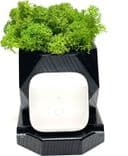 SKU: LPNHE762278401 Навушники бездротові Xiaomi Redmi Buds 3 White (вживані) - Image 3