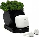 SKU: LPNHE774810674 Навушники бездротові JBL Tune Flex White (вживані) - Image 1