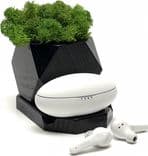 SKU: LPNHE777070185 Навушники бездротові Belkin Soundform Nano True Wireless White (вживані) - Image 1