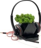 SKU: LPNHK150485797 Навушники дротові Plantronics Blackwire 3225 Black/Red (вживані) - Image 1