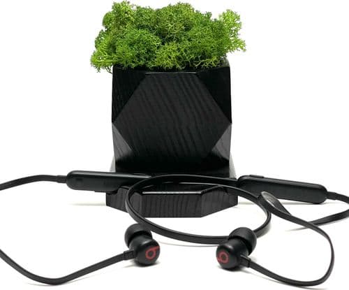 SKU: LPNA042294166 Навушники бездротові Beats Flex All-Day Wireless Beats Black (вживані) - Image 1